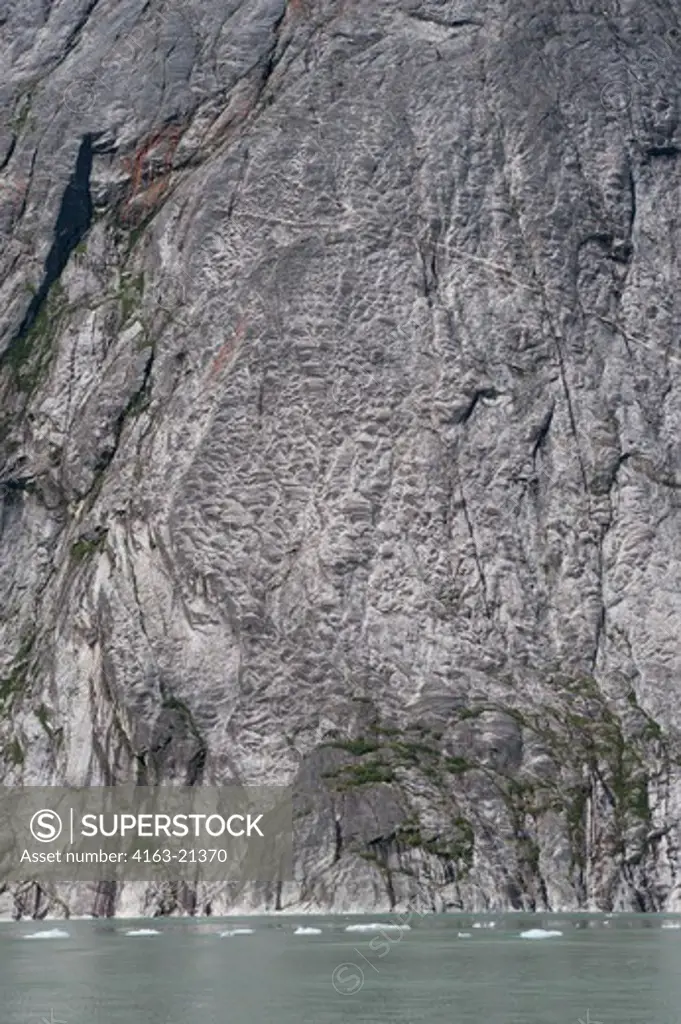 Fjord wall near Dawes Glacier with chatter marks, a series of marks made by vibratory chipping of a bedrock surface by rock fragments carried in a glacier, Endicott Arm, Tongass National Forest, Alaska, USA