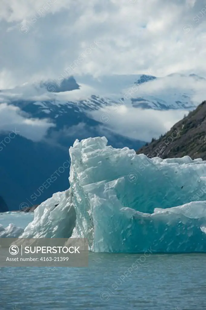 Iceberg floating near the Dawes Glacier, Endicott Arm, Tongass National Forest, Alaska, USA