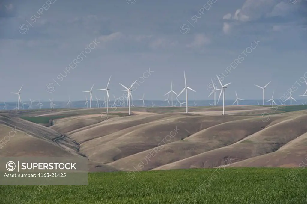 Hopkins Ridge Wind Facility In The Dayton Area In Eastern Washington, Usa