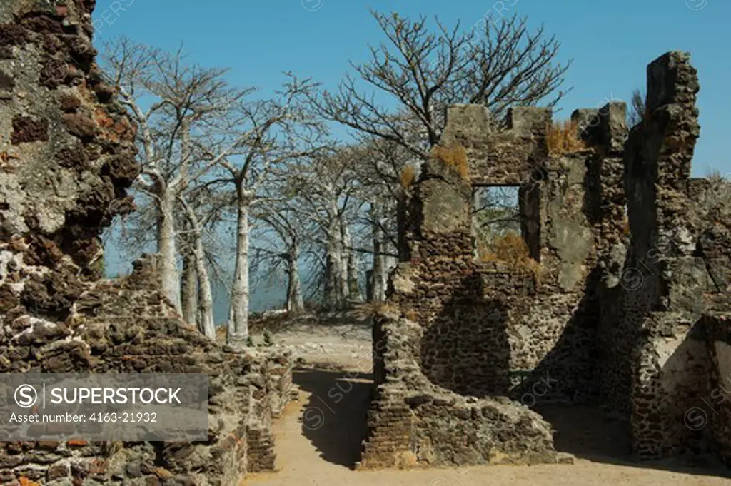 Ruins Of Fort Bullen (1826) And Baobab Trees On James Island A Unesco World Heritage Site.  The Island Is Situated About 30Kms From The Mouth Of The Gambia River And Was Renamed Kunta Kinteh Island In 2011