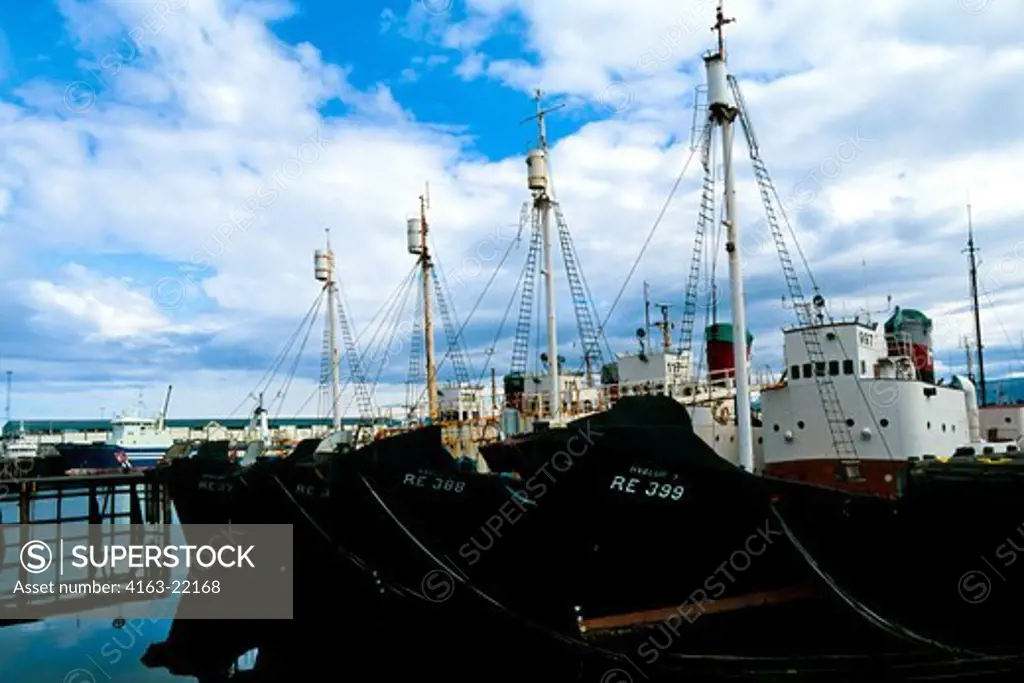Iceland, Reykjavik, Harbor, Whaling Boats