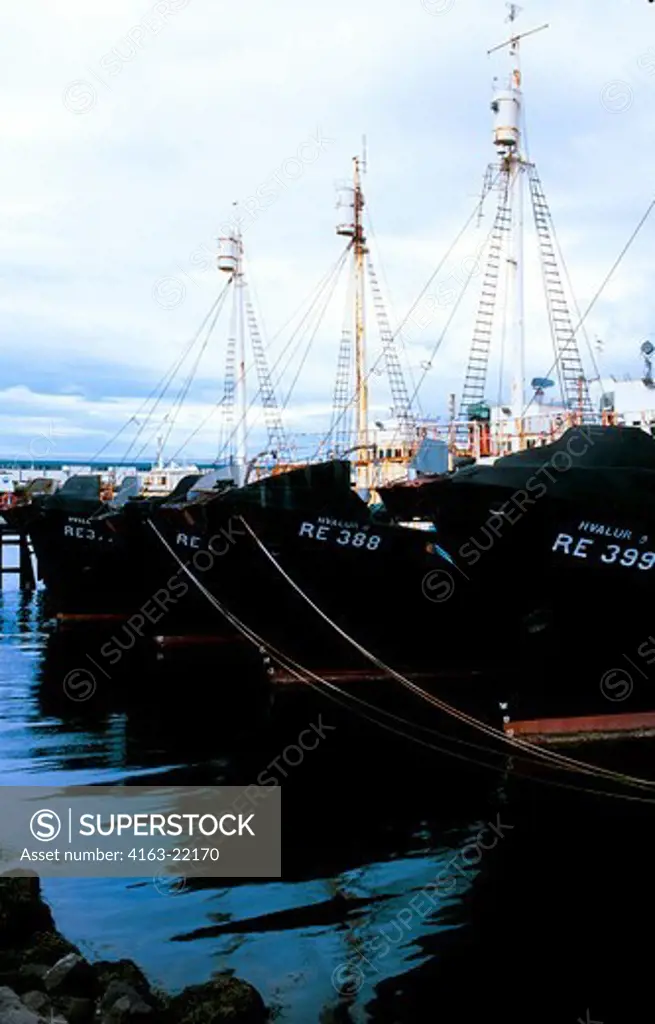 Iceland, Reykjavik, Harbor, Whaling Boats