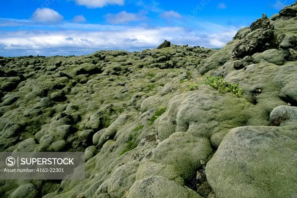 Iceland, South Coast, Lava Field From 1783 Eruption, Covered With Moss