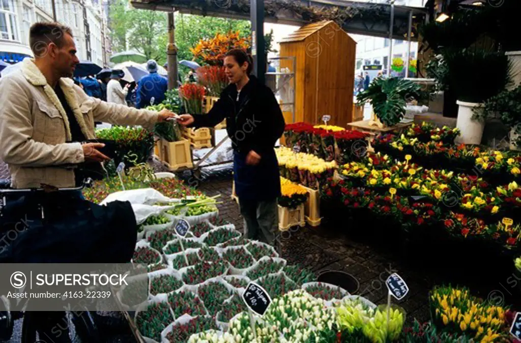 Netherlands, Holland, Amsterdam, Flower Market, Man Buying Flowers