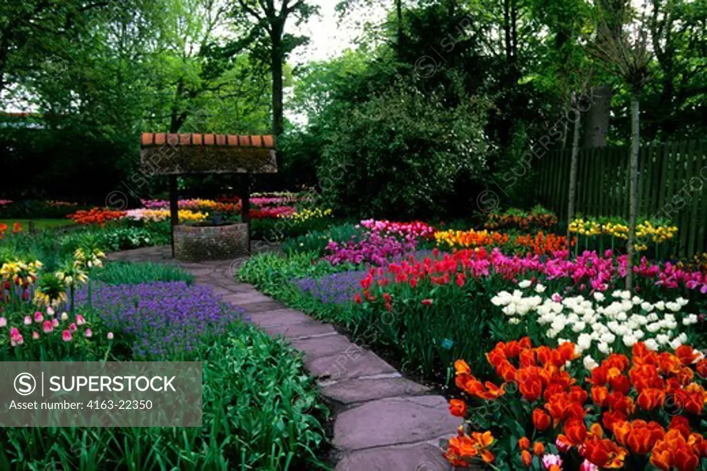 Netherlands, Holland, Near Amsterdam, Keukenhof Gardens, Tulips, Fritillaria