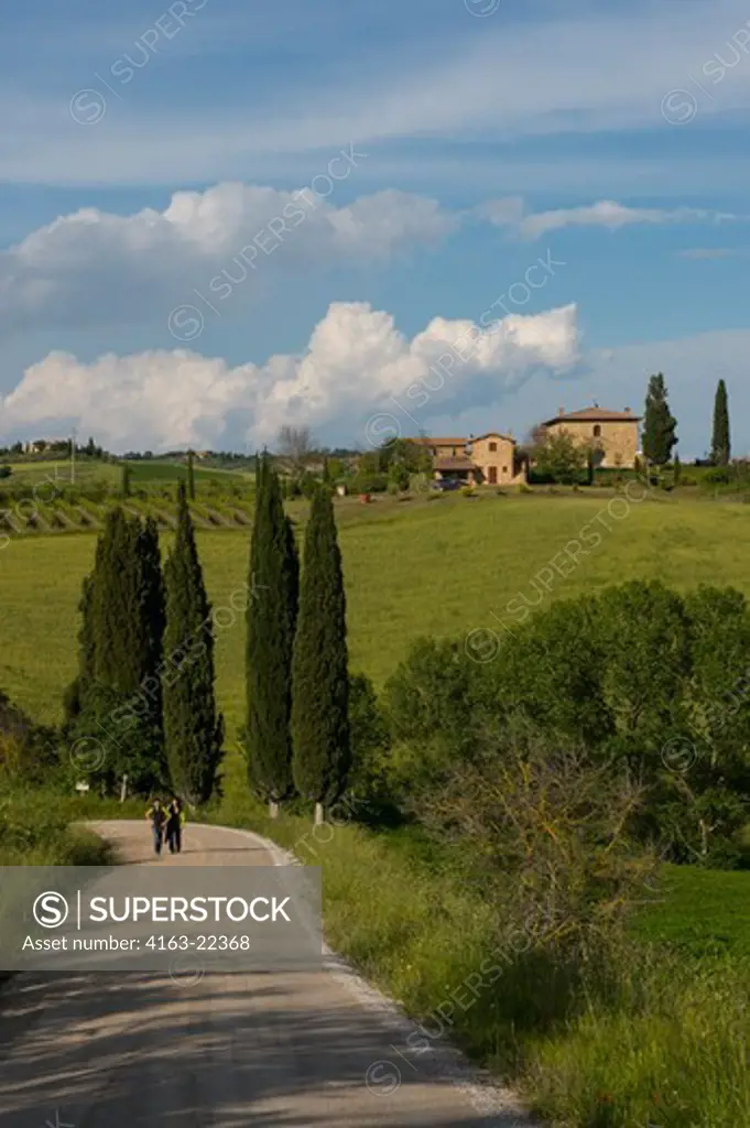 People Walking On Gravel Road In The Val D'Orcia Near Pienza In Tuscany, Italy