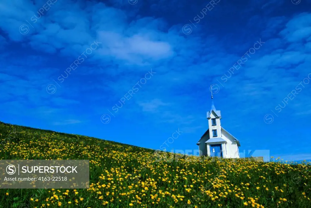 Iceland, East Coast, Stodvarfjodur Village, Old Church In Buttercup Field (Converted Into B & B)