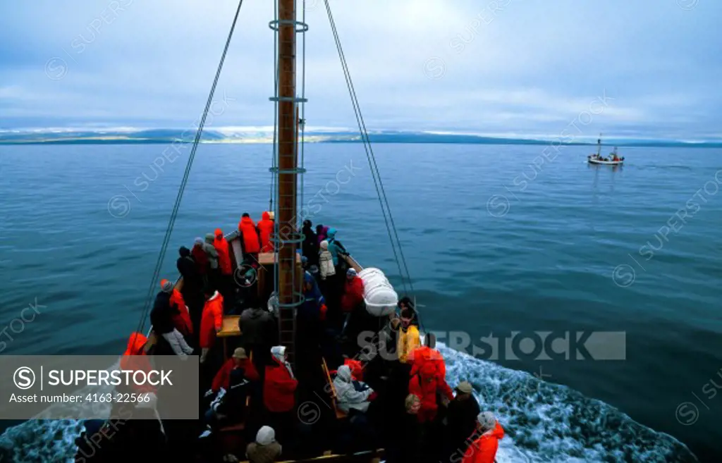 Iceland, Husavik, Skjalfandi Bay, Whale Watching Tour