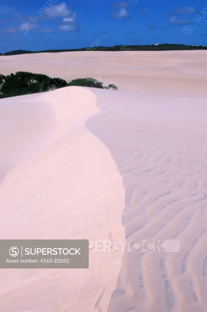 Brazil, Near Natal, Sand Dunes