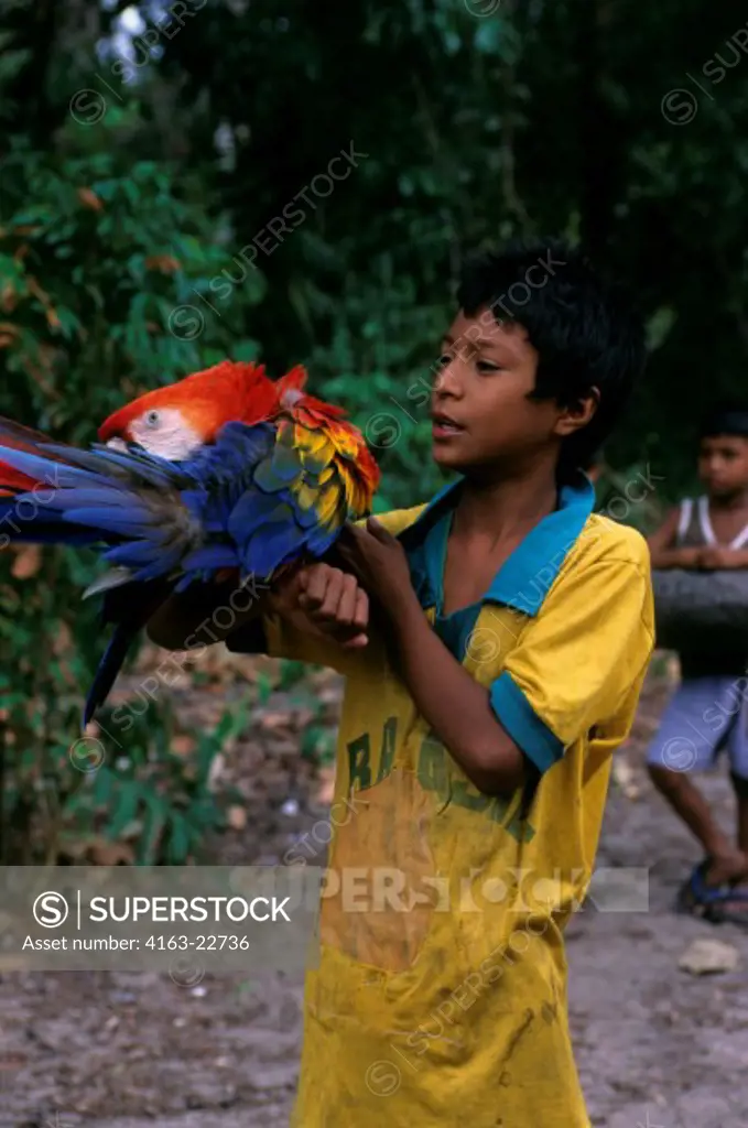 Brazil, Amazon River, Near Alter Do Chao, Local Cabocolo Boy With Scarlet Macaw