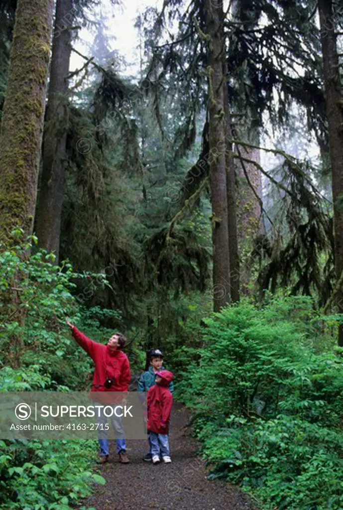 USA, WASHINGTON, OLYMPIC NP, QUINAULT RAINFOREST, HIKERS (MODEL RELEASED)