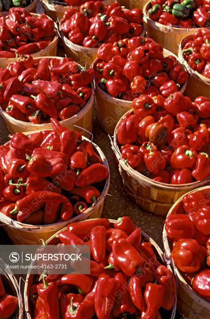 CANADA, ONTARIO, WATERLOO COUNTRY MARKET, CLOSE-UP OF PEPPERS IN BASKETS
