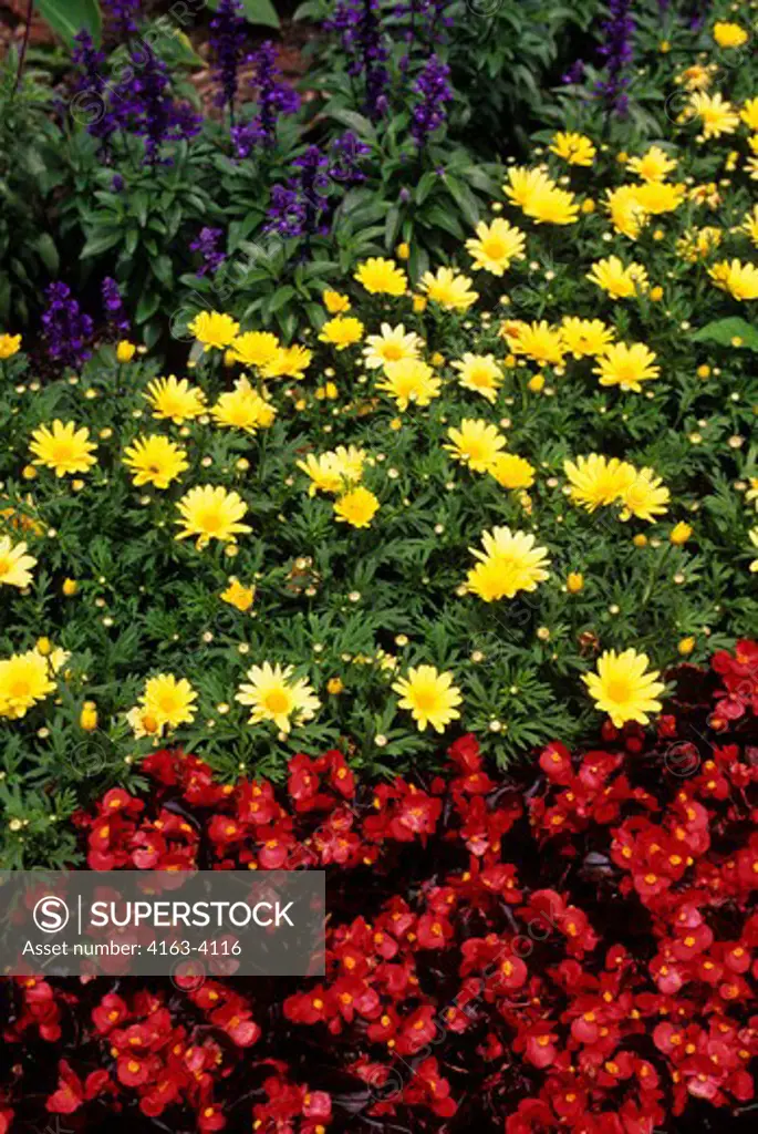 USA, MICHIGAN, DETROIT, DOWNTOWN, STREET SCENE WITH FLOWERS