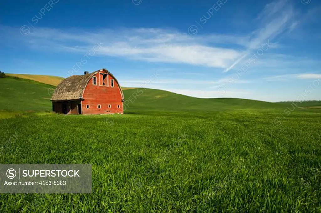 USA, WASHINGTON STATE, PALOUSE COUNTRY, RED BARN IN WHEAT FIELD