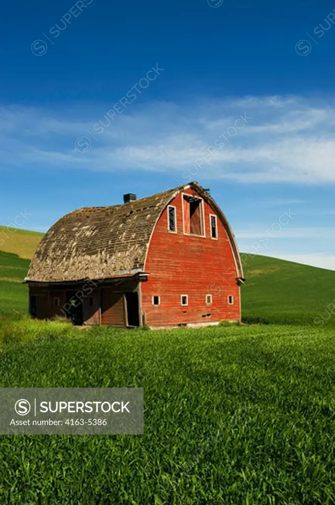 USA, WASHINGTON STATE, PALOUSE COUNTRY, RED BARN IN WHEAT FIELD