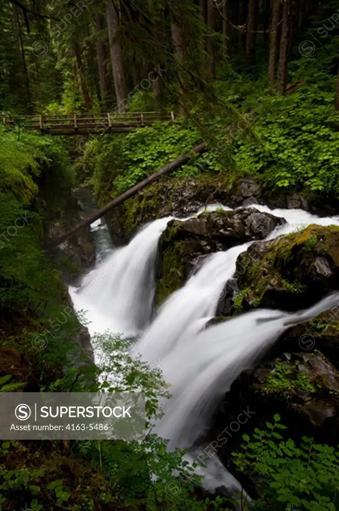 USA, WASHINGTON STATE, OLYMPIC PENINSULA, OLYMPIC NATIONAL PARK, SOL DUC RIVER, SOL DUC FALLS