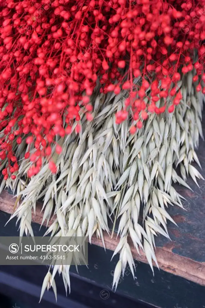 USA, WASHINGTON STATE, SEATTLE, PIKE PLACE MARKET, DRIED PLANTS USED IN FLOWER ARRANGEMENTS