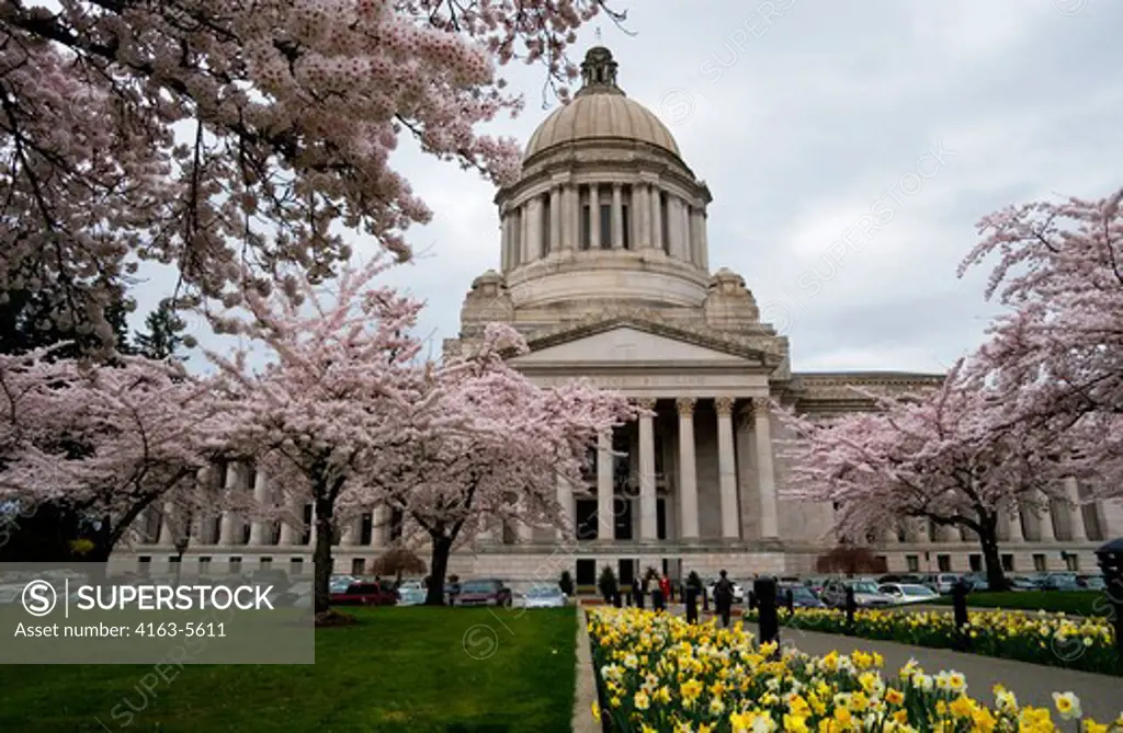USA, WASHINGTON STATE, OLYMPIA, STATE CAPITOL BUILDING WITH SPRING FLOWERS