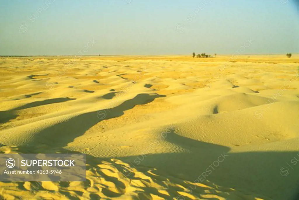 AFRICA, TUNISIA, SAHARA DESERT, PATTERNS IN THE SHIFTING SAND
