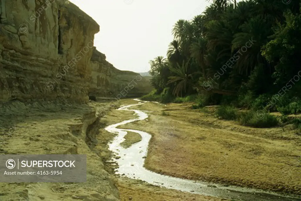 AFRICA, TUNISIA, SAHARA DESERT, OASIS AT TAMERZA