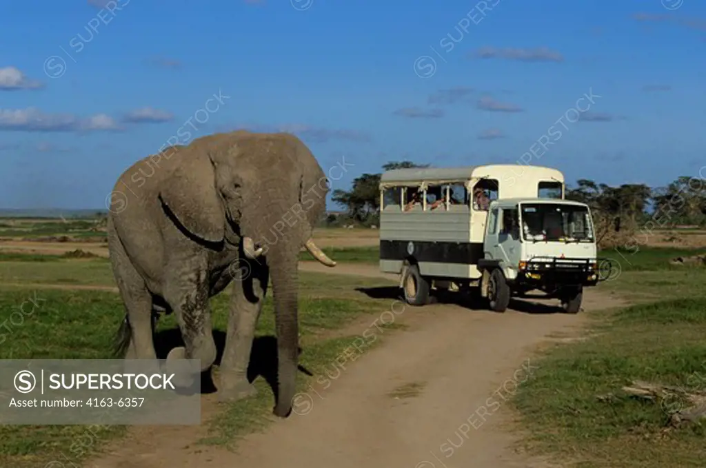 KENYA,AMBOSELI NAT'L PARK TOURISTS WATCHING ELEPHANT