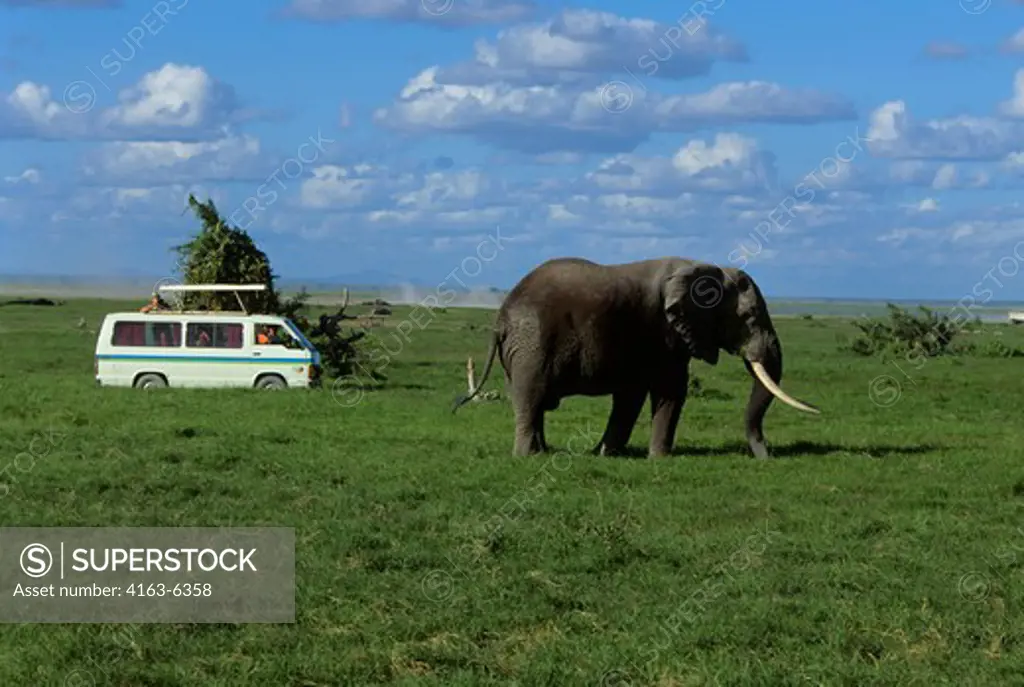 KENYA, AMBOSELI NAT'L PARK TOURISTS WATCHING ELEPHANT
