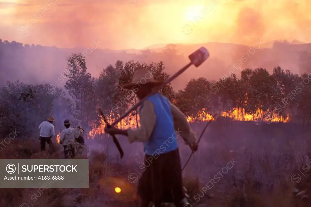 MADAGASCAR, NEAR MANTASOA, FARMERS BURNING LAND