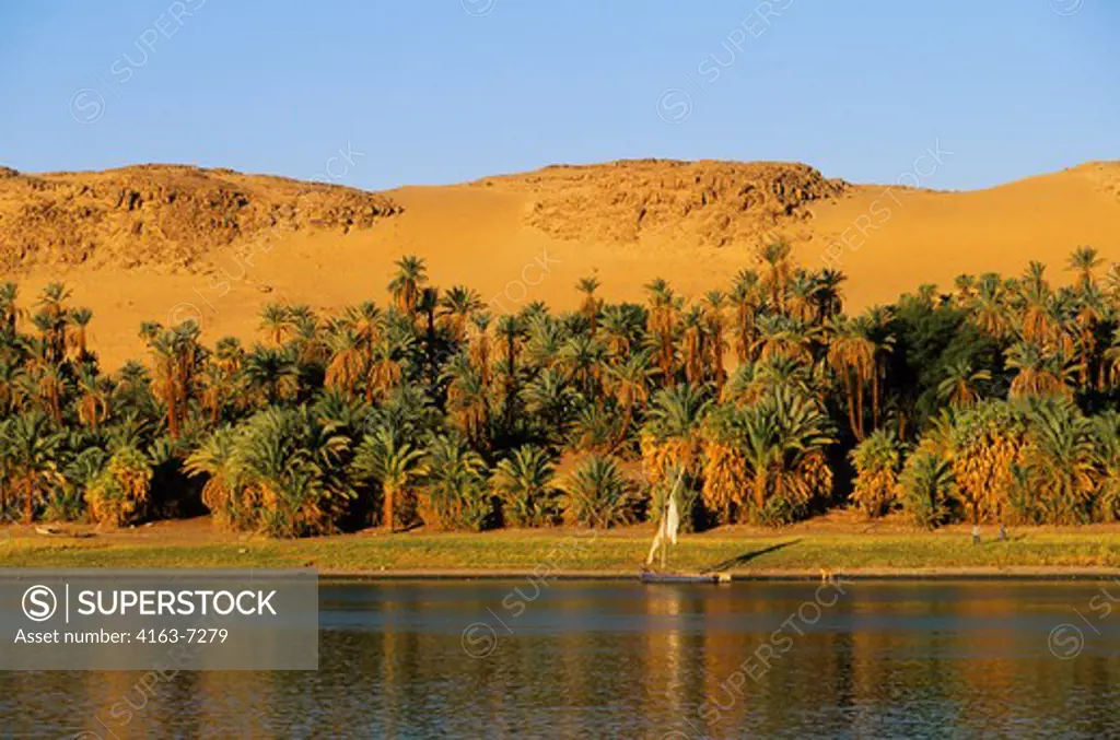 EGYPT, NILE RIVER, BETWEEN ASWAN AND KOM OMBO, VEGETATION AND DESERT