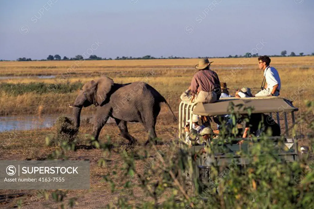 BOTSWANA, CHOBE NATIONAL PARK, TOURISTS WATCHING ELEPHANTS