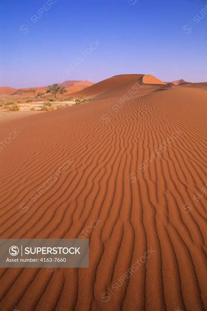 NAMIBIA, NAMIB-NAUKLUFT NATIONAL PARK, SOSSUSVLEI, SAND DUNES