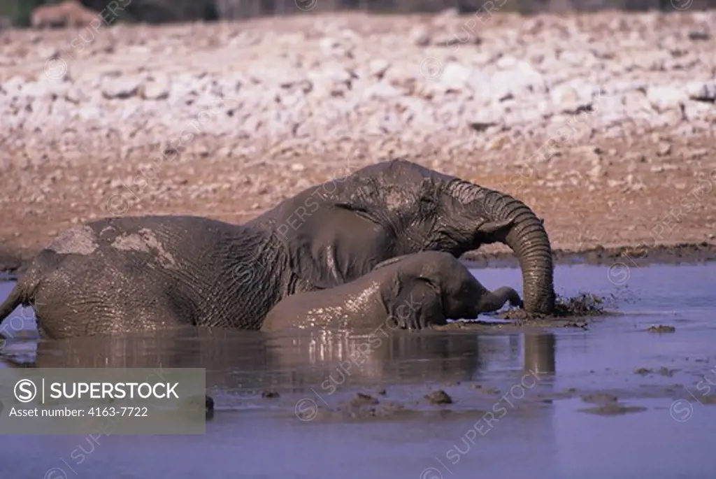 AFRICA, NAMIBIA, ETOSHA NATIONAL PARK, ELEPHANTS WALLOWING IN WATERHOLE