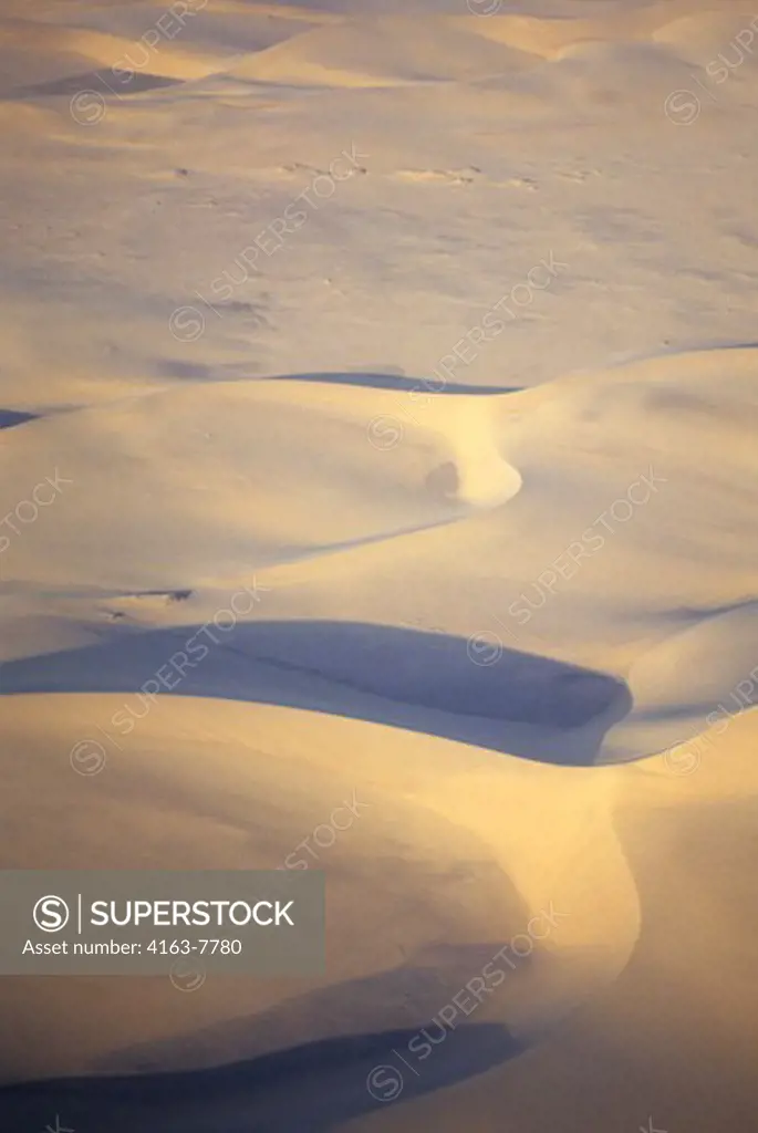 NAMIBIA, SKELETON COAST NATIONAL PARK, SAND DUNES