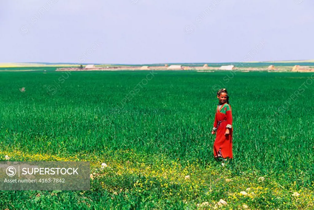 MOROCCO, NEAR MARRAKECH, LOCAL GIRL IN FIELD