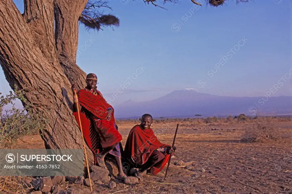 KENYA, AMBOSELI, MASAI MEN LEANING ON ACACIA TREE, MT. KILIMANJARO IN BACKGROUND