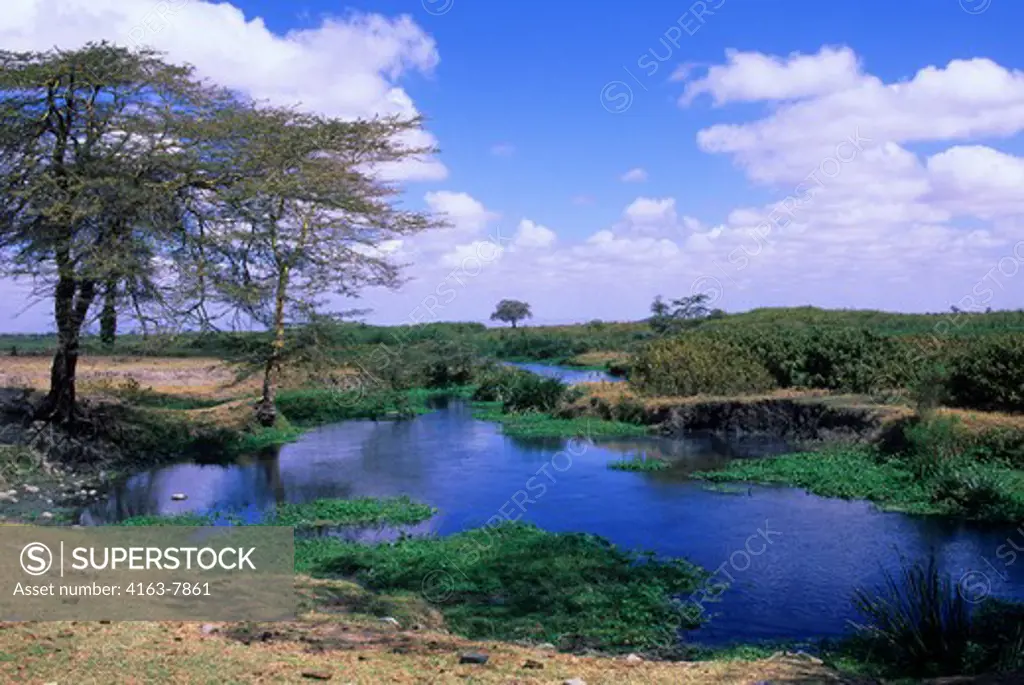 KENYA, AMBOSELI NATIONAL PARK, LANDSCAPE WITH RIVER