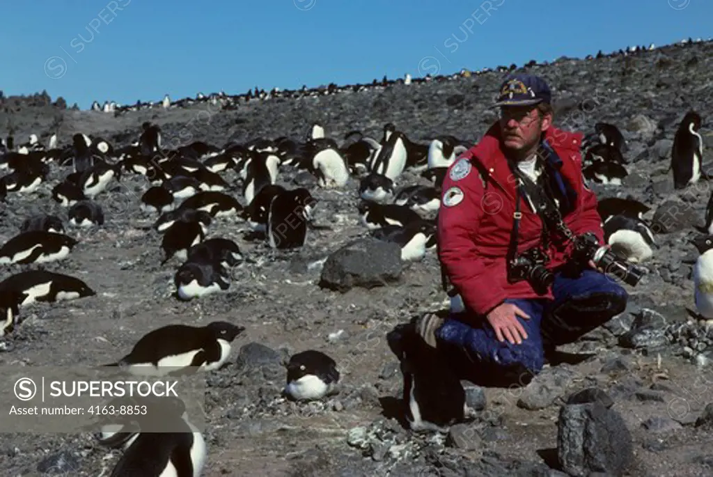 ANTARCTICA, KING GEORGE ISLAND, DR. FRANK TODD WITH ADELIE PENGUINS