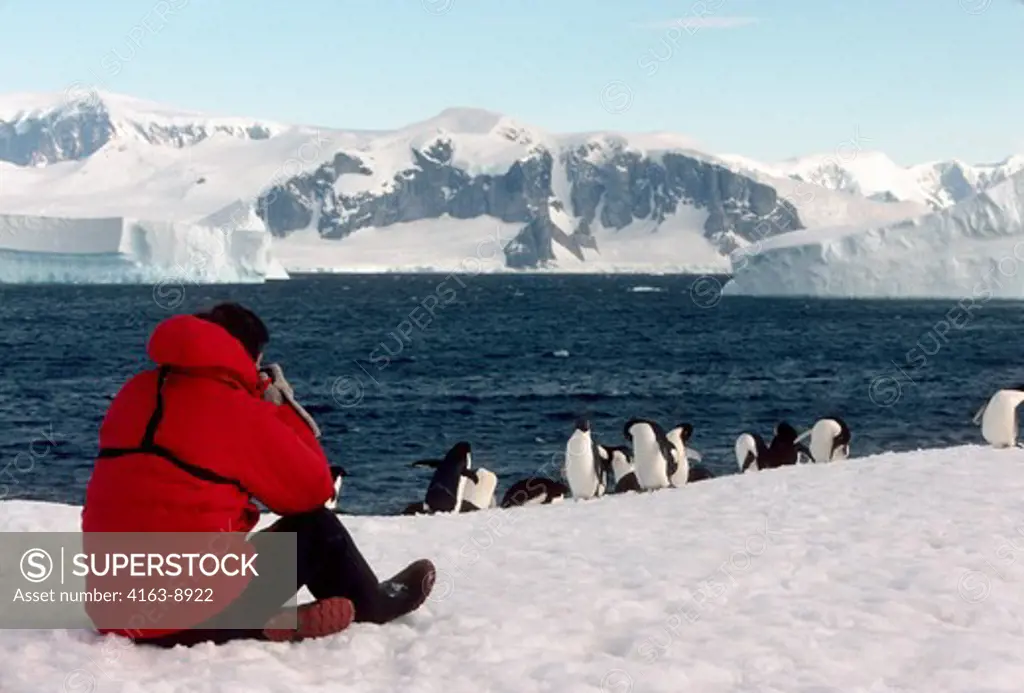 ANTARCTIC PENINSULA AREA, DETAILLE IS., TOURIST PHOTOGRAPHING ADELIE PENGUINS