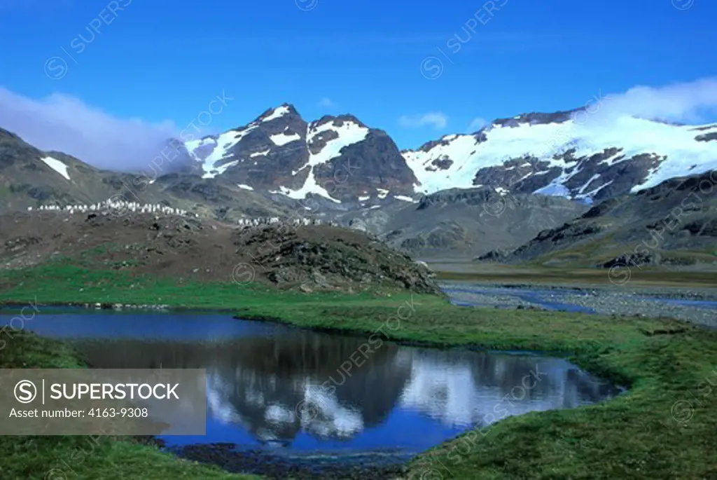 ANTARCTICA, SOUTH GEORGIA, STROMNESS, MOUNTAINS WITH GLACIERS, GENTOO PENGUIN COLONY REFLECTING IN POND.