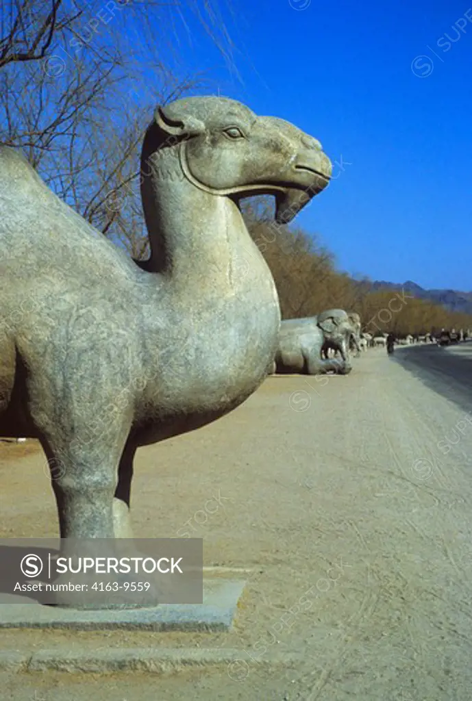 CHINA, PASSAGEWAY TO THE MING TOMBS, SACRED WAY, GIANT ANIMALS CARVED OF STONE