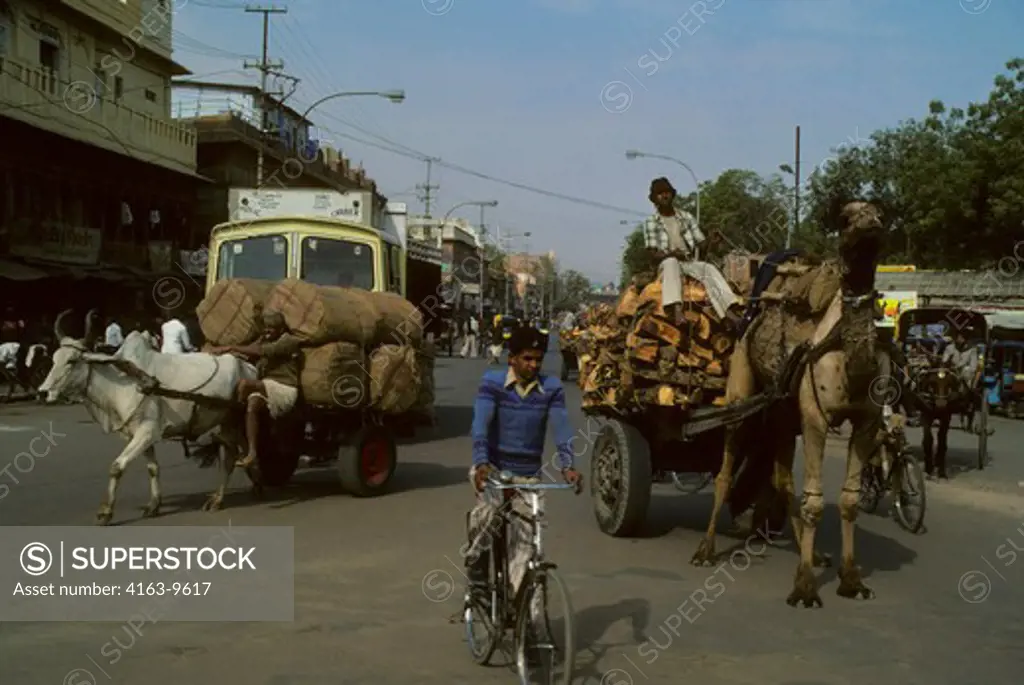 INDIA, JODHPUR, TYPICAL STREET SCENE WITH TRAFFIC, HORSE CART, CAMEL AND BICYCLE