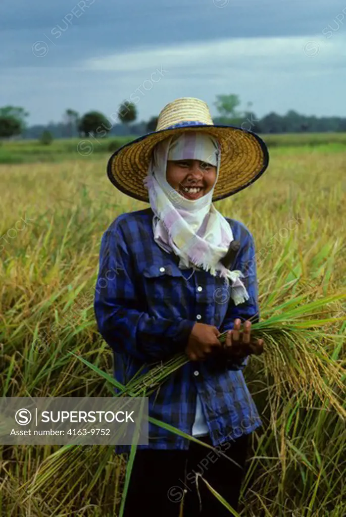 THAILAND, CENTRAL PLAINS, NEAR SUKOTHAI, FARMERS HARVESTING RICE