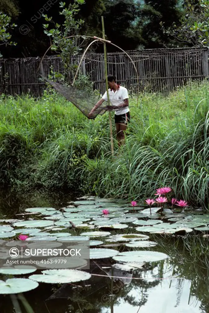 NORTH THAILAND, NEAR CHIANG RAI, MAN FISHING IN POND, WATER LILIES