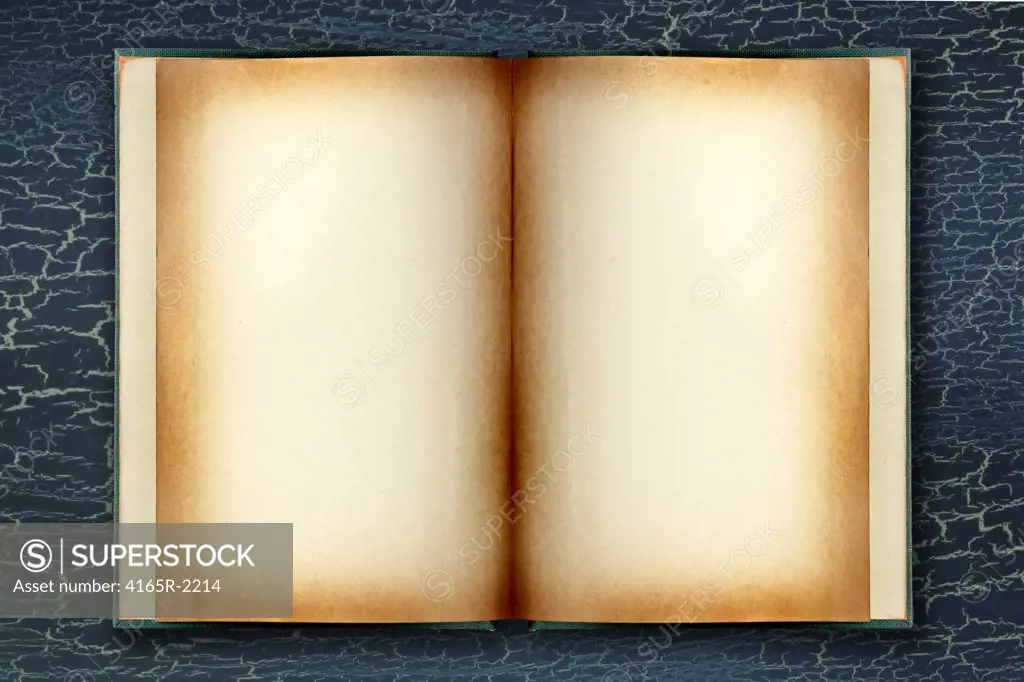 Open Dingy Grunge Book With Copyspace for Your Design or Text on Crackled Background