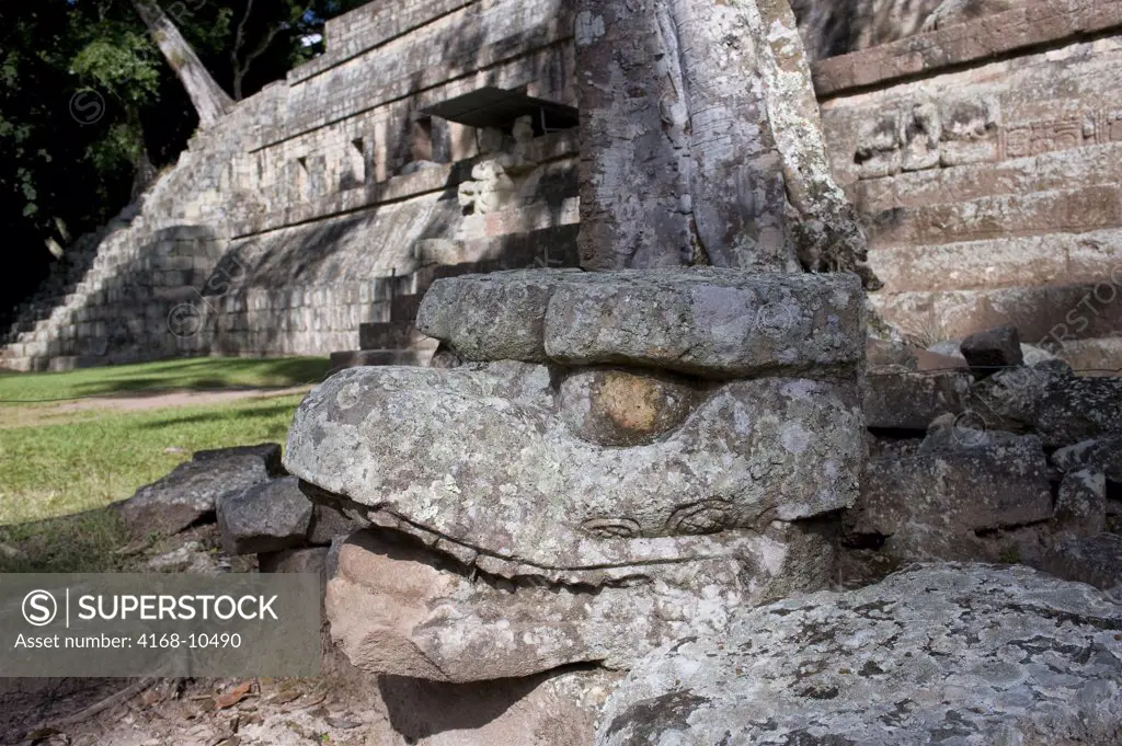 Honduras, Copan Ruins, Mayan Archaelogical Site, West Court (Patio Occidental), Stone Carving
