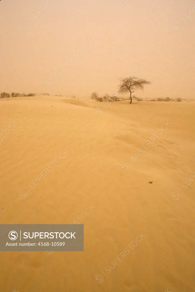 Mali, Near Timbuktu, Harmattan Dust Storm