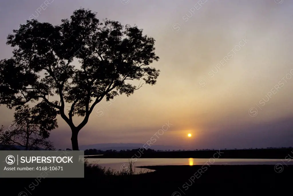 India, Assam Province, Kaziranga National Park, Sunset