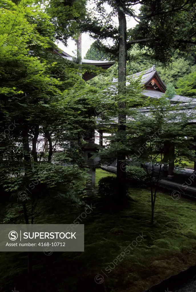 Japan, Kyoto, Ryoanji Temple, Moss Garden
