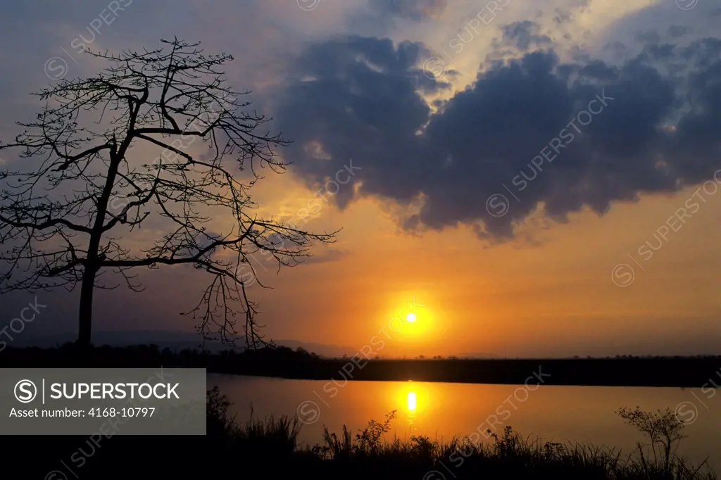 India, Assam , Kaziranga National Park, Sunset