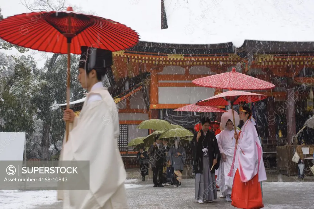 Japan, Kyoto, Yasaka Shrine (Shinto) In Snow, Traditional Shinto Wedding Party