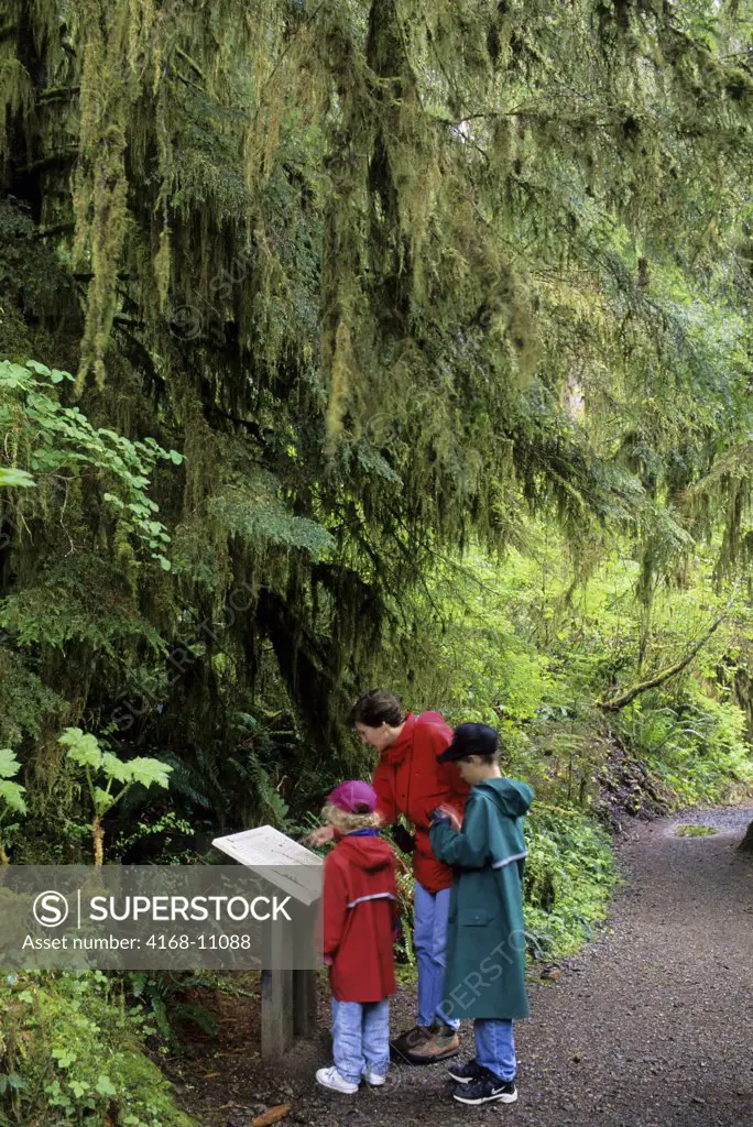 Usa, Washington, Olympic Np, Quinault Rainforest, Hikers (Model Released)